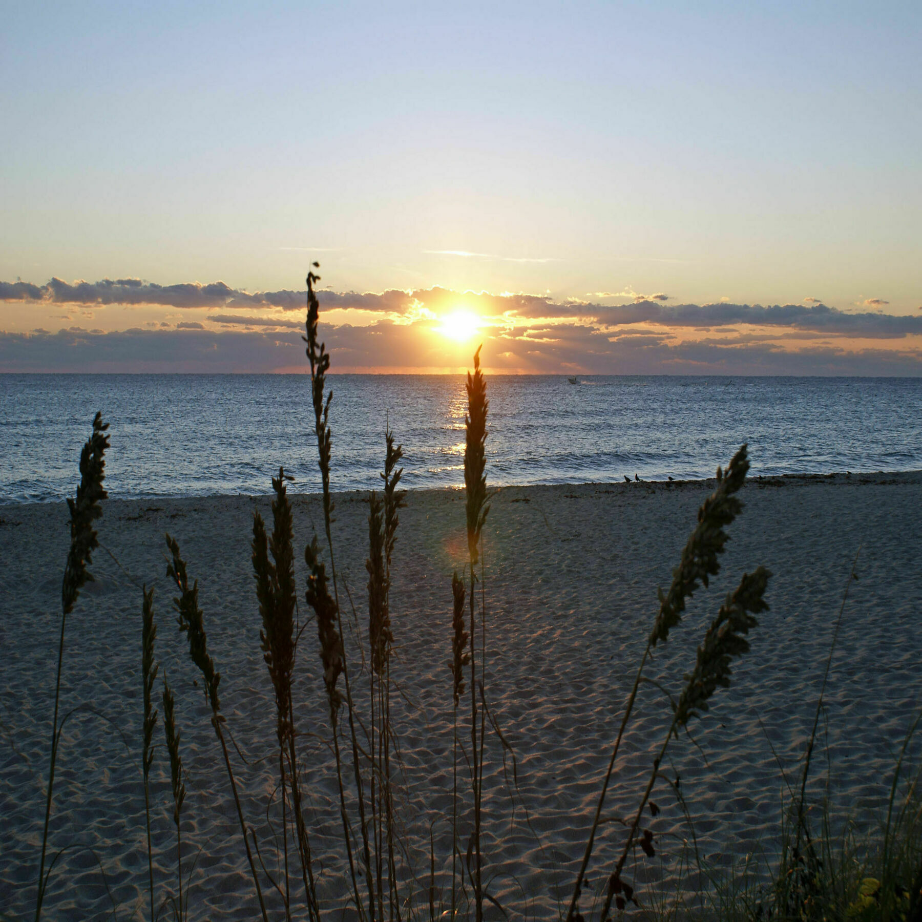 Sabal Palm House Bed And Breakfast Lake Worth Beach Bagian luar foto